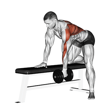 Single arm Dumbbell Bent Over Row
