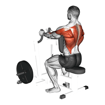 Lever Narrow Seated Row