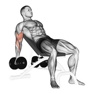Dumbbell Incline Curl