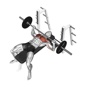 Barbell Bench Press