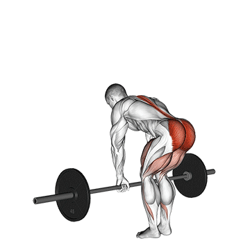 Barbell Romanian Deadlift (RDL)