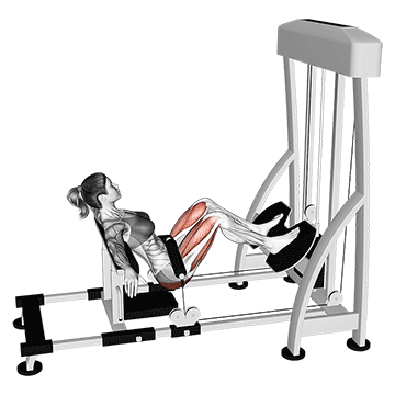 Lever Hip Thrust