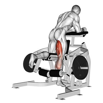 Lever Kneeling Leg Curl (plate loaded)