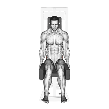 Lever Seated Hip Abduction