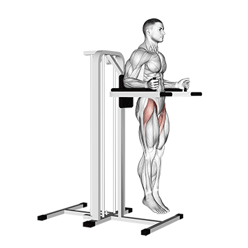 Captain's Chair Leg-Hip Raise
