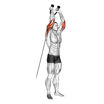 Cable Overhead Triceps Ext